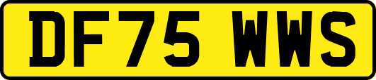 DF75WWS