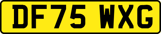 DF75WXG