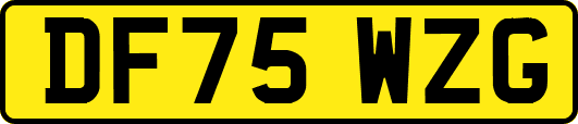 DF75WZG
