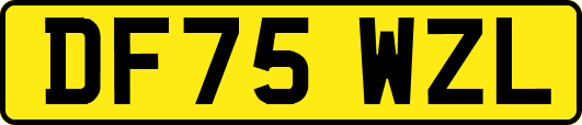 DF75WZL