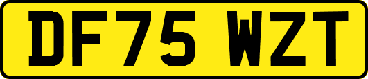DF75WZT