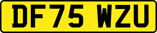 DF75WZU