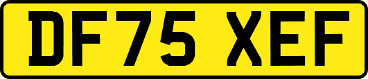 DF75XEF