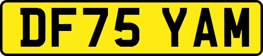 DF75YAM