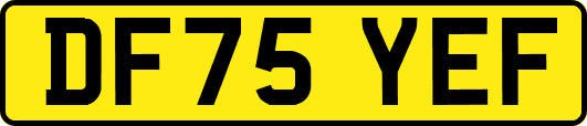 DF75YEF