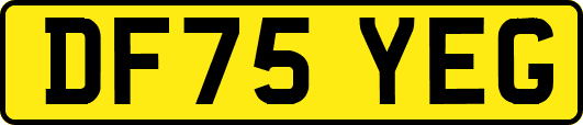 DF75YEG