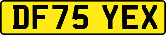 DF75YEX