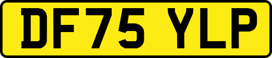 DF75YLP
