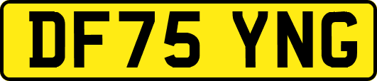 DF75YNG