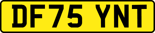 DF75YNT