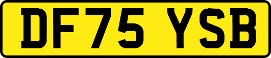 DF75YSB