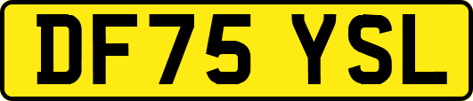DF75YSL