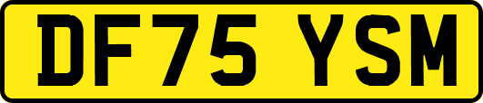 DF75YSM