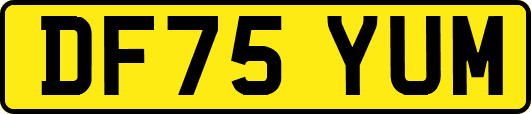 DF75YUM