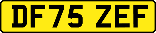 DF75ZEF