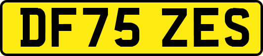 DF75ZES