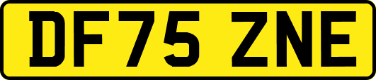 DF75ZNE