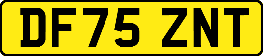 DF75ZNT