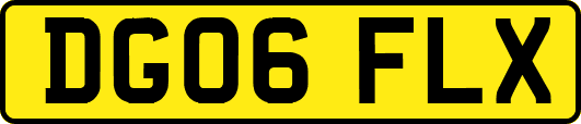 DG06FLX