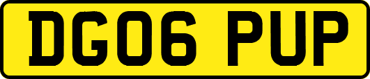 DG06PUP