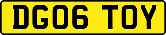 DG06TOY