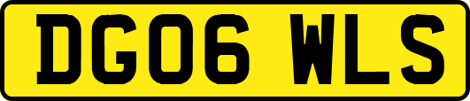 DG06WLS