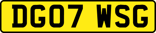 DG07WSG
