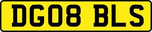 DG08BLS
