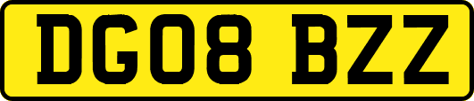 DG08BZZ