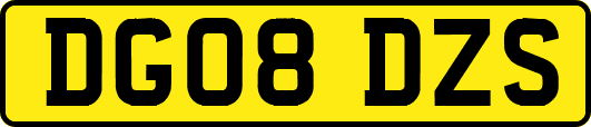 DG08DZS