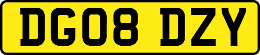 DG08DZY