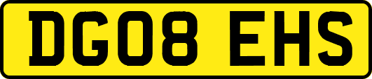 DG08EHS