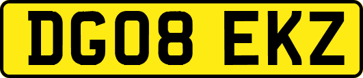 DG08EKZ