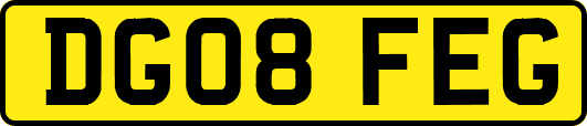 DG08FEG