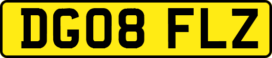 DG08FLZ