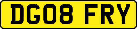 DG08FRY