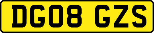 DG08GZS