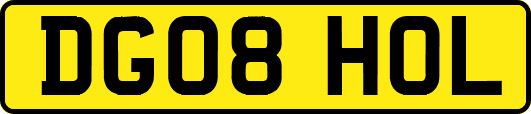 DG08HOL