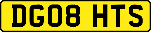 DG08HTS