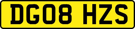 DG08HZS