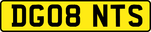 DG08NTS