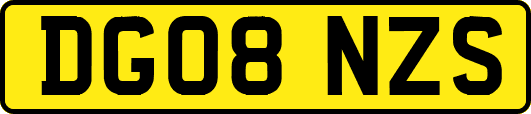 DG08NZS