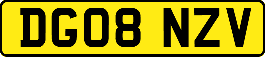 DG08NZV