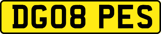DG08PES