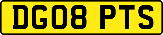 DG08PTS