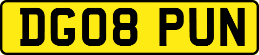 DG08PUN