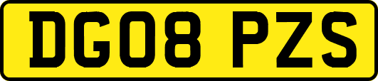 DG08PZS