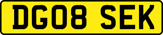 DG08SEK