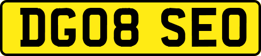 DG08SEO