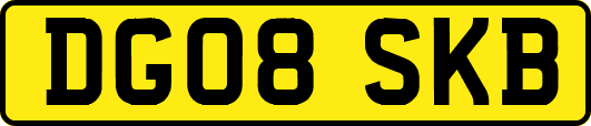 DG08SKB